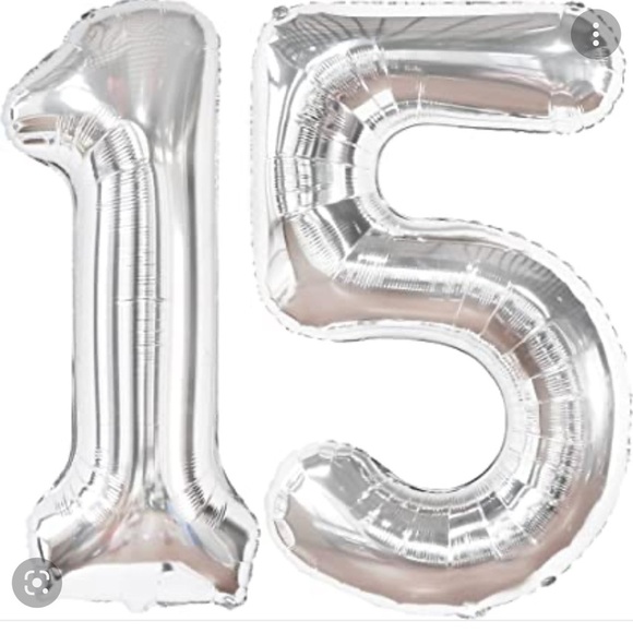 Other - Silver 15 Silver Balloons